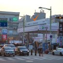 브라운도트1 이미지