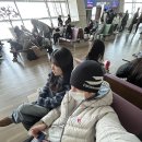 세븐일레븐 구미구평본점 | 분기마다 일본 가는 사람의 도쿄 여행 | 대문자 P들의 여행