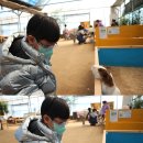 우하하농장 Daum카페