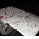 온천3동-14 이미지