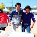 한반도면-14 이미지