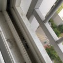 더존아파트 이미지