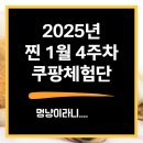 금고양이 | 쿠팡체험단 저가당첨 후기 #7 :: 고양이 간식 파티믹스