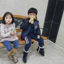 털보허파
