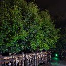 지에스25 여수소노캄점 이미지