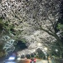 2호선 중동역 1번출구 이미지