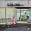 석남동 언니쓰네일샵에서 푸켓 가기 전 패디 네일 받은 후기