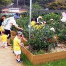 다보스병원직장어린이집 이미지