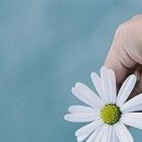 곽*기 이미지