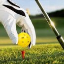 다인골프연습장 이미지