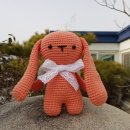 앨리스토이 &lt;비비안래빗&gt; 인형DIY패키지 후기