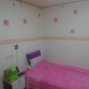 강동초교 이미지