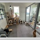 복덩이 건강센터 이미지