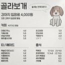 금천구 애견카페 구로디지털단지역 &lt;놀면뭐하개&gt; 첫방문 후기!