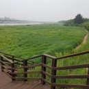 김유신장군로 이미지