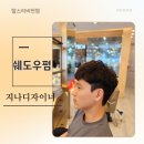 쉐도우비전 이미지