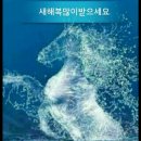 청마상사 이미지