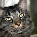 하루 (HAROO) 이미지