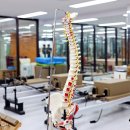 젠코어필라테스 이미지