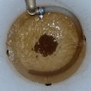 전주첨단코아루2차아파트 이미지