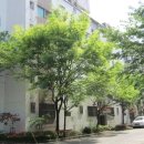 서구-02-52 이미지