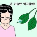 🍚공주 밥 머슴 밥 // 집 밥 정식 이미지