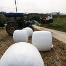 상강축사 이미지