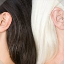 머리이야기 이미지