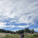 신창축사 이미지