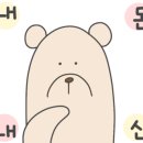 보라10호