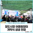 청도군-6 이미지