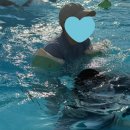 테하스랜드 | ෆ 논산 숙소, 물놀이하고 고기 굽고 글램핑으로 꽉 찬 하루 &lt;주노글램핑 테하스랜드&gt; 솔직후기
