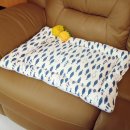 안양펫애견용품할인마트 이미지