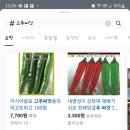 오수의과동물병원