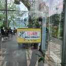 카페그림 | 양평 두물머리 근처 카페 그림정원 돗자리 피크닉 하고 온 후기
