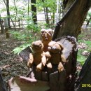 엄마랑유치원 이미지