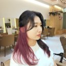 플로잉살롱 네이버블로그