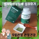 무릎관절 관절건강 법제유황공심채 섭취후기
