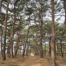 12월 20일 해파랑길 48코스 이미지