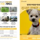 썬샤인유치원 이미지
