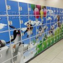 오정레포츠