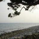 공곶이해변 Daum카페