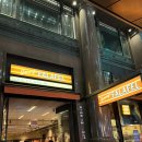[호주 시드니 여행] 지미스 팔라펠 (Jimmy’s Falafel) 시드니 중동 음식 맛집 (위치, 메뉴, 예약)
