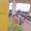 꿀벌헤어샵 네이버블로그