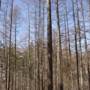 삼도봉민박 이미지