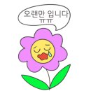 다이소 강남본점 네이버블로그