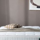 롯데피트인산본점 이미지