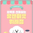 천안 고양이분양 도로시펫 | 천안 고양이분양 – 초보자도 안심할 수 있는 유앤미펫 후기