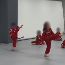 석사하나태권도 이미지