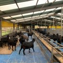 초방리농장 이미지